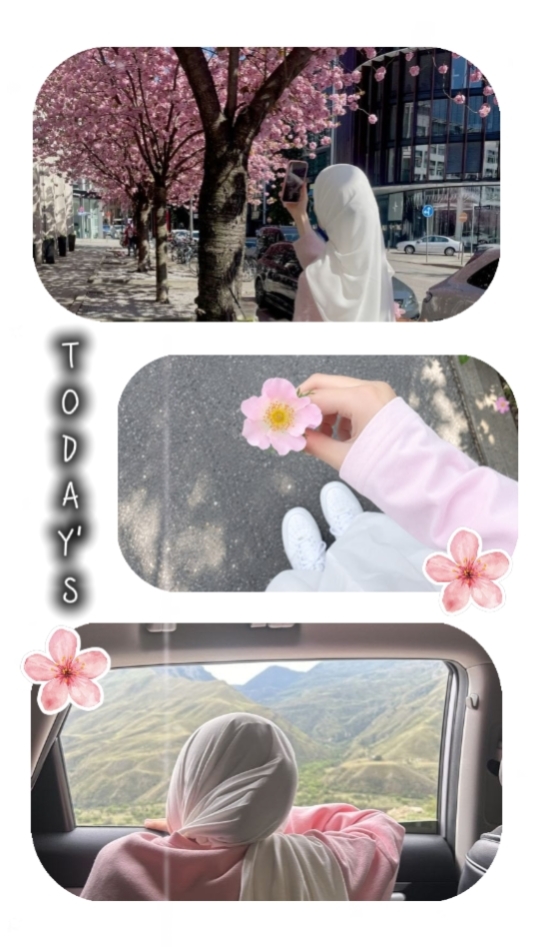 3 photo cute 