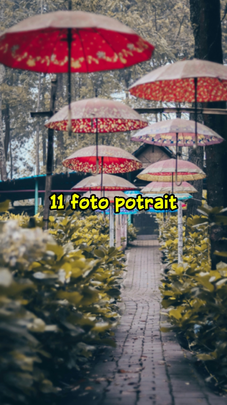 11 foto potret