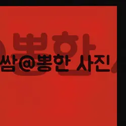 반전템플