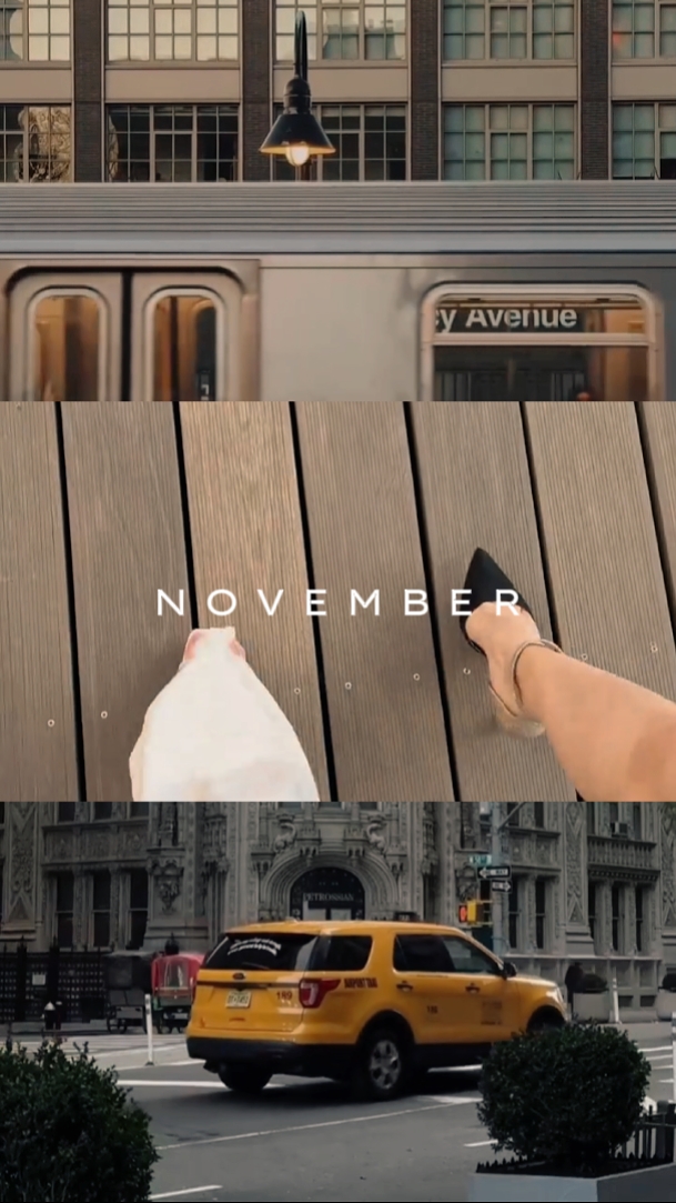 Moments de novembre