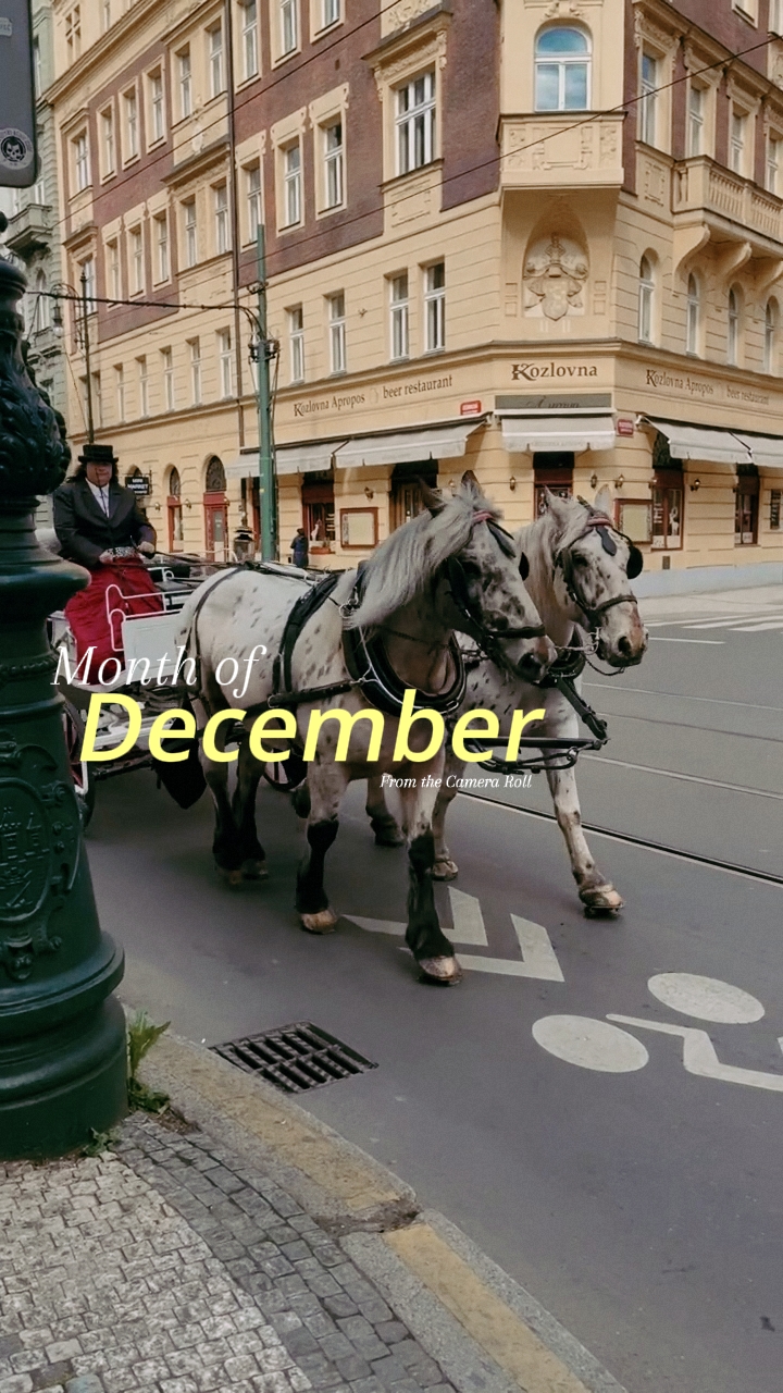 Mês de dezembro