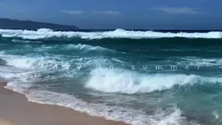 a day in summer