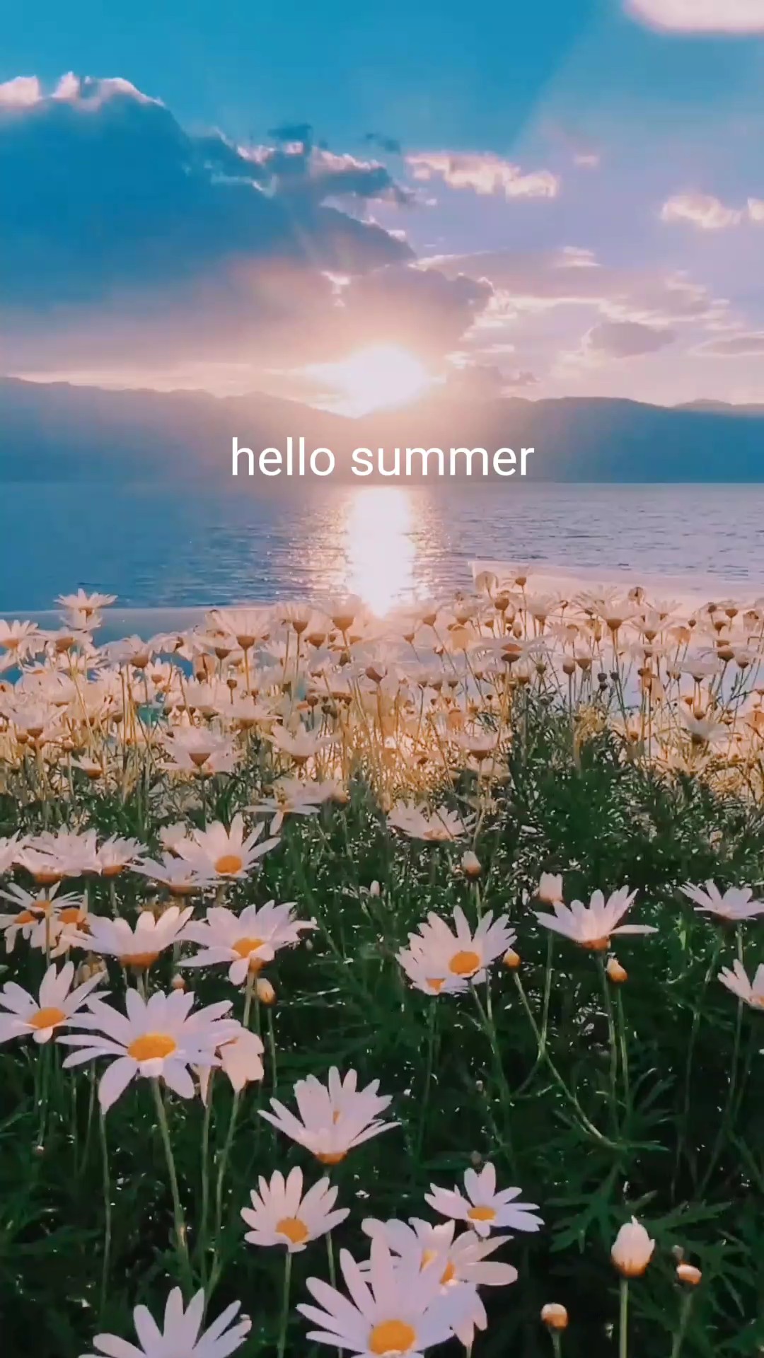 summer recap