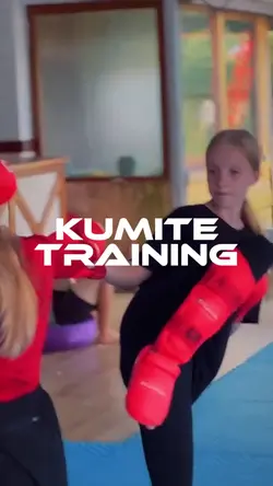 Karate Kumite Train