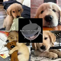 how i talk to my dog