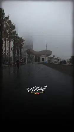 گزرتے دسمبر کیطرح 