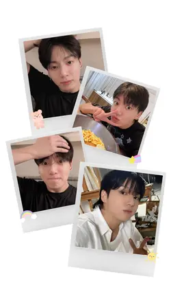 โพลารอยด์ | 4 รูป
