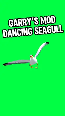 GMOD DANCING SEAGULL