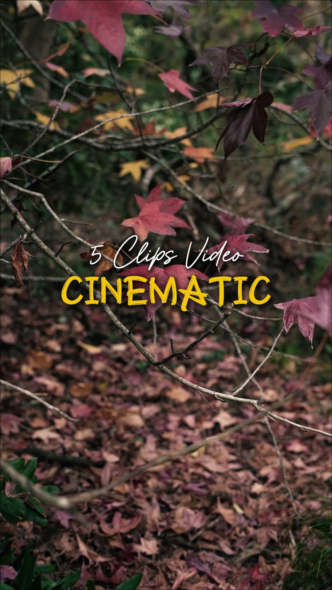 Cinematic 5 Video