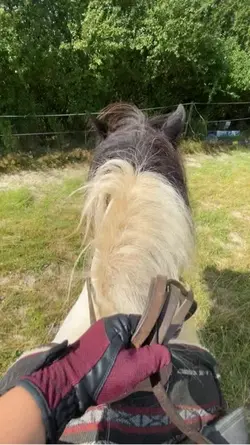 Snadjaaa