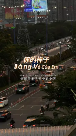 你的样子