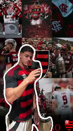 flamengo status