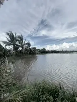 ไลฟ์​โฟโต้​