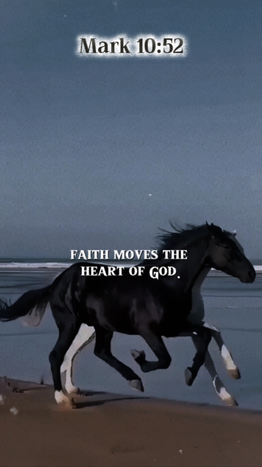 Marcos 10: 52