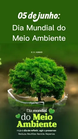 20 fotos