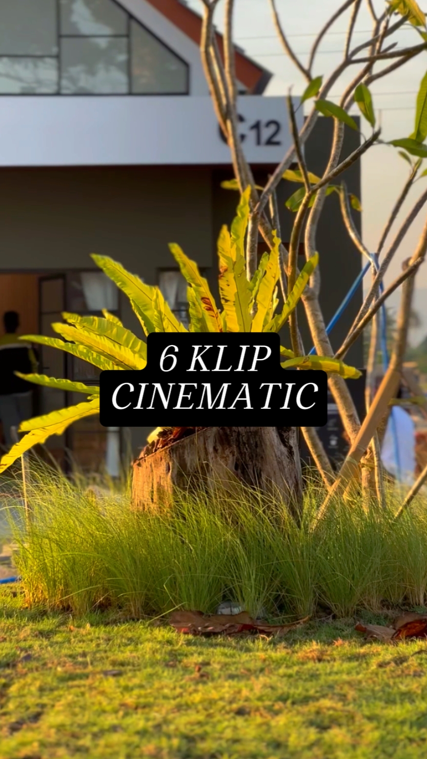 CinematiCmuBolo