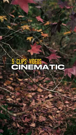 5 clips videos 