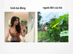 so sánh