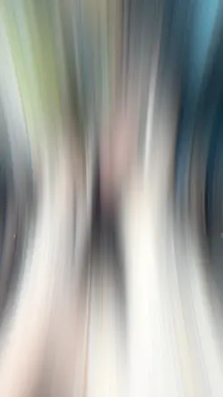 พิพบพระเนจร