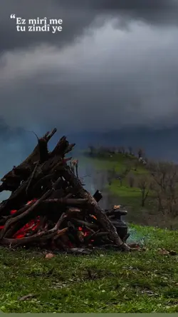 Yeni şablon