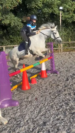 Horse smooth slowmo๐