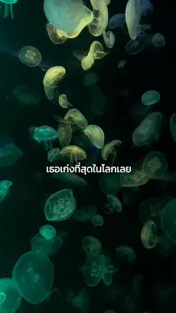 เธอเก่งที่สุดในโลกเลยนะ