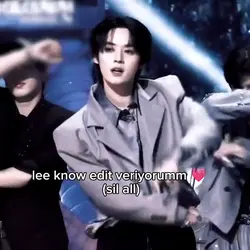 lee know editt
