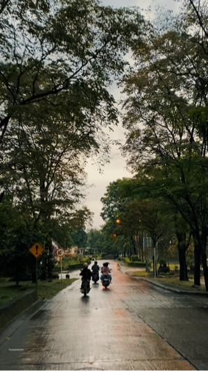Verso 9: 16