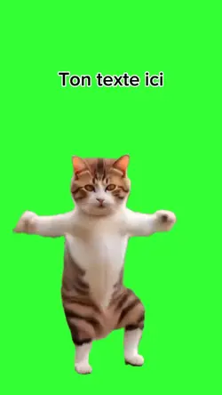 danse chat