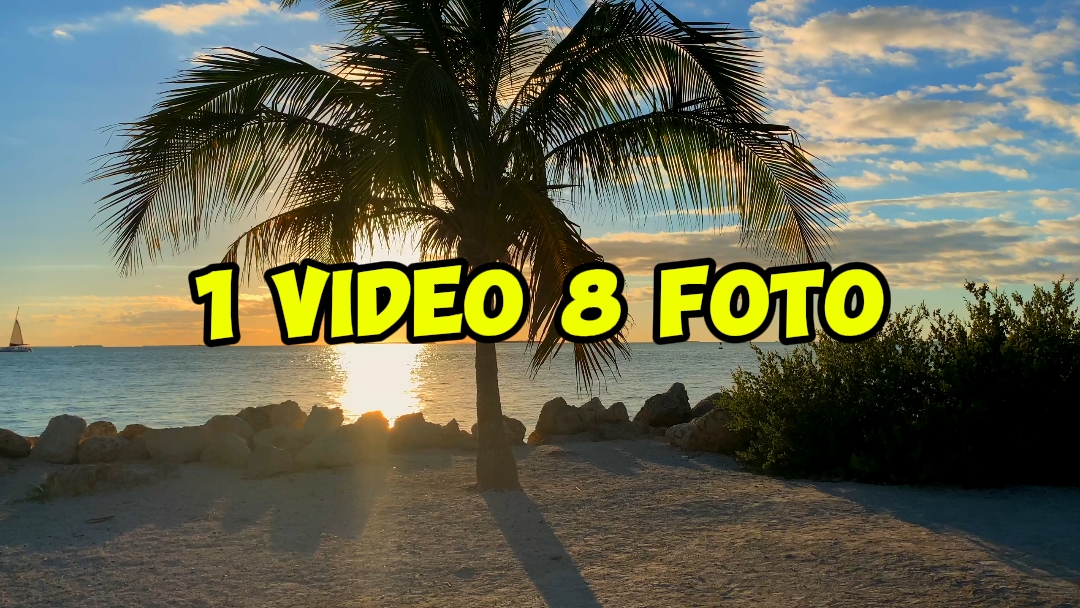 1 video 8 foto