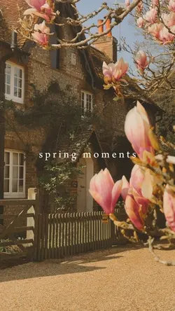 Spring moments 🌸