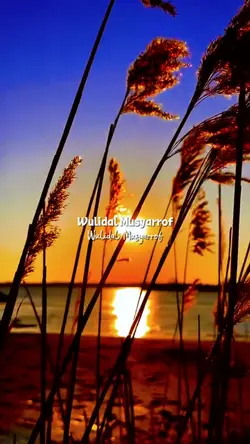 Wulidal musyarrof jj