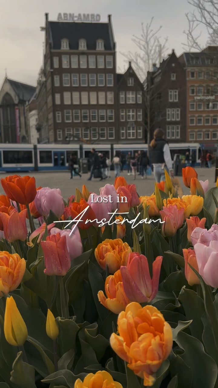 AMSTERDAM FILTER