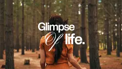GLIMPSE OF LIFE