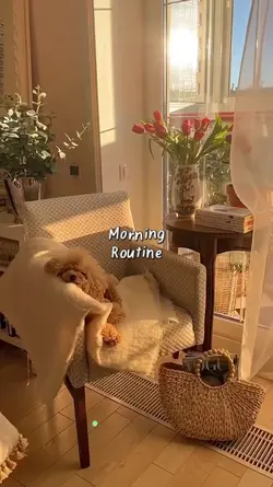 morning routine