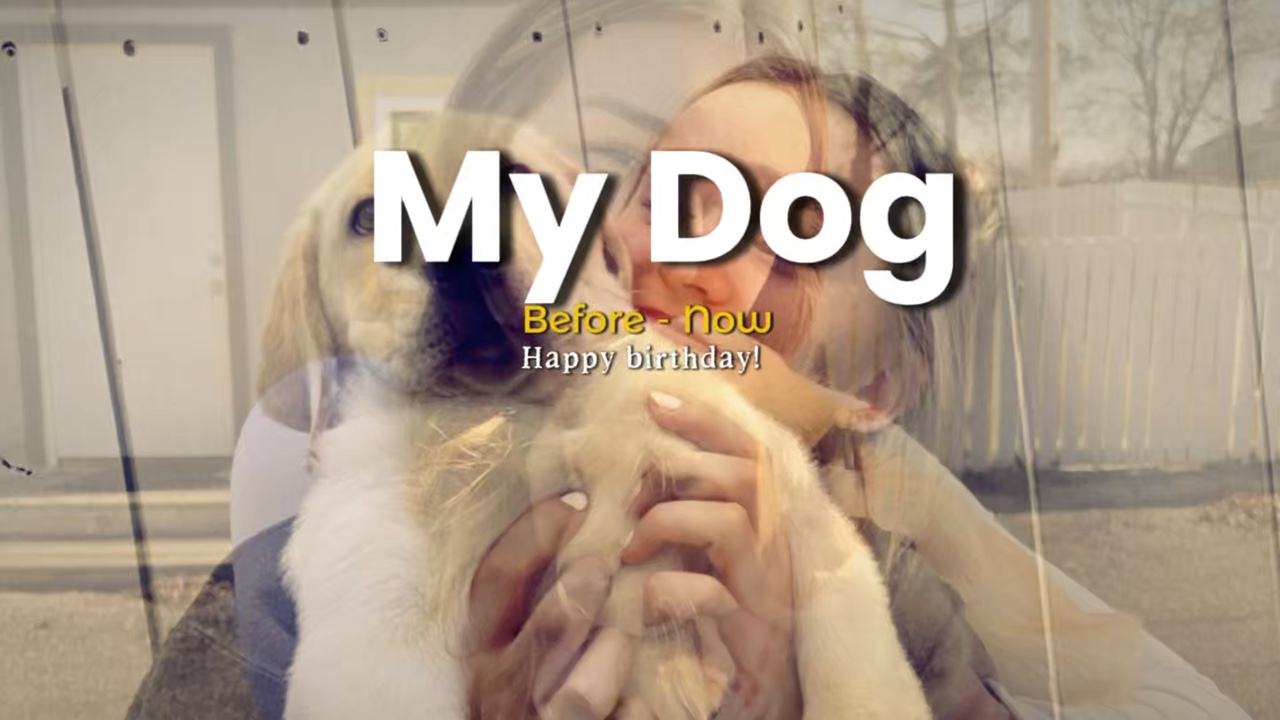 Happy birthday dog
