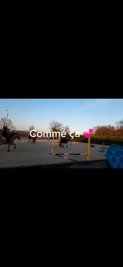 Départ au galop