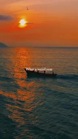 weird year