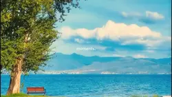 Moments vlog