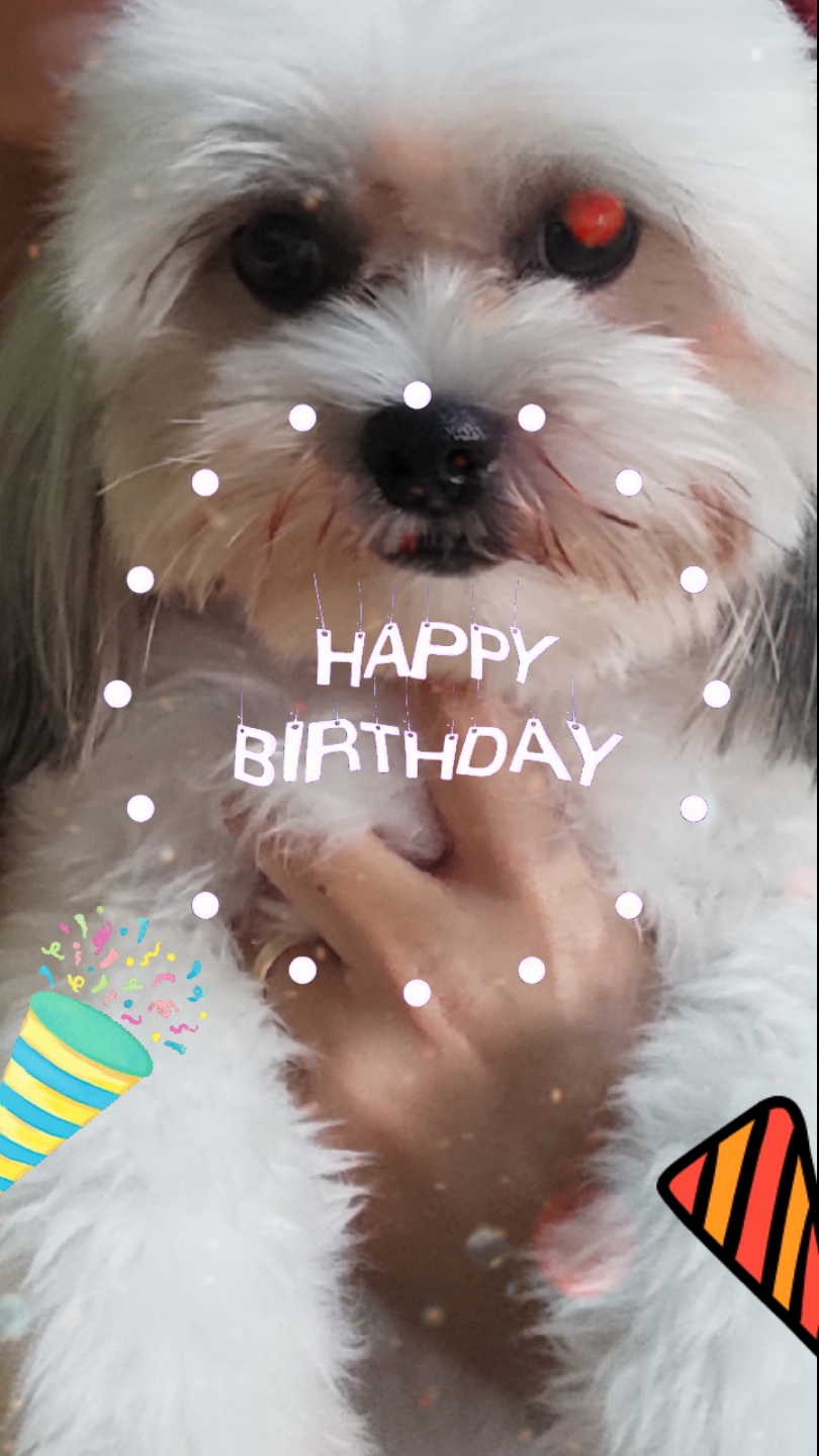 Cumpleaños de mascotas