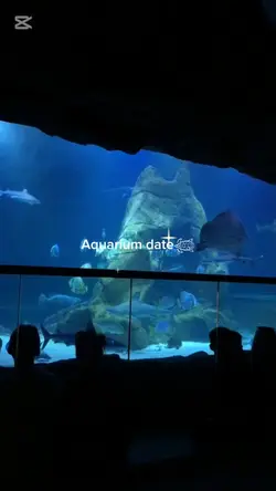 Aquarium date