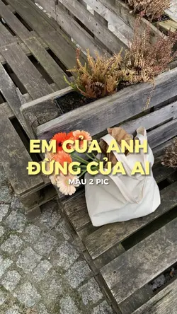 Anh Chưa Bao Giờ