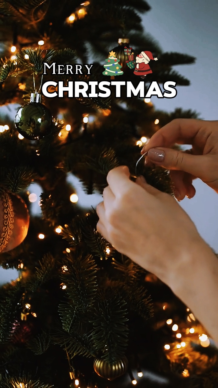 Merry Christmas🎅🎄