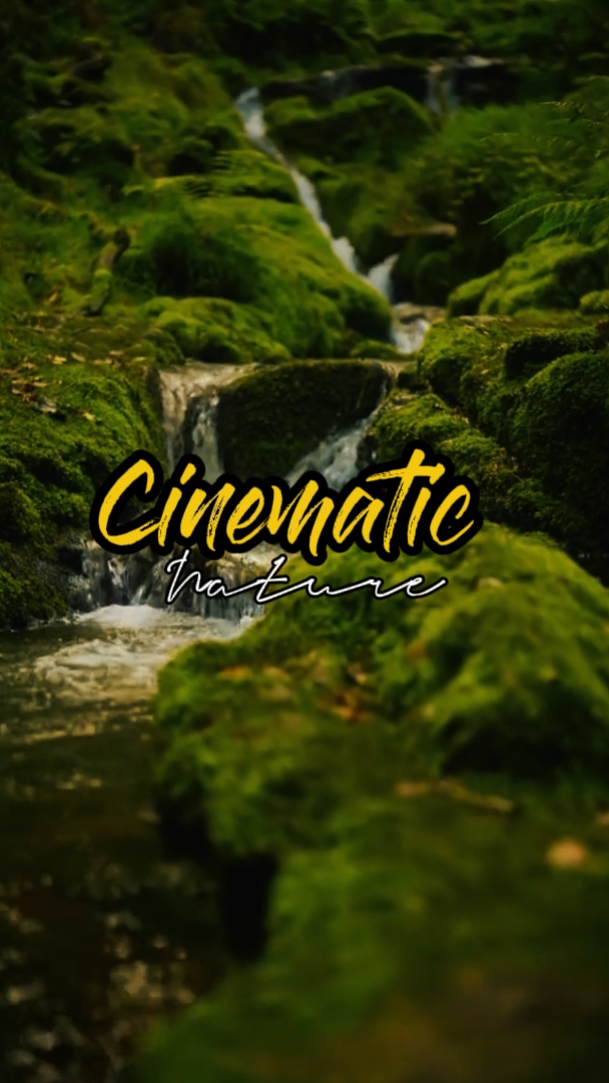 Kinoreife Natur 