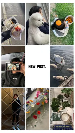 New post. 最近のお気に入り