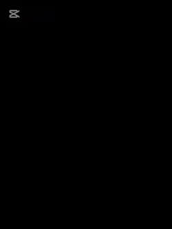 19張
