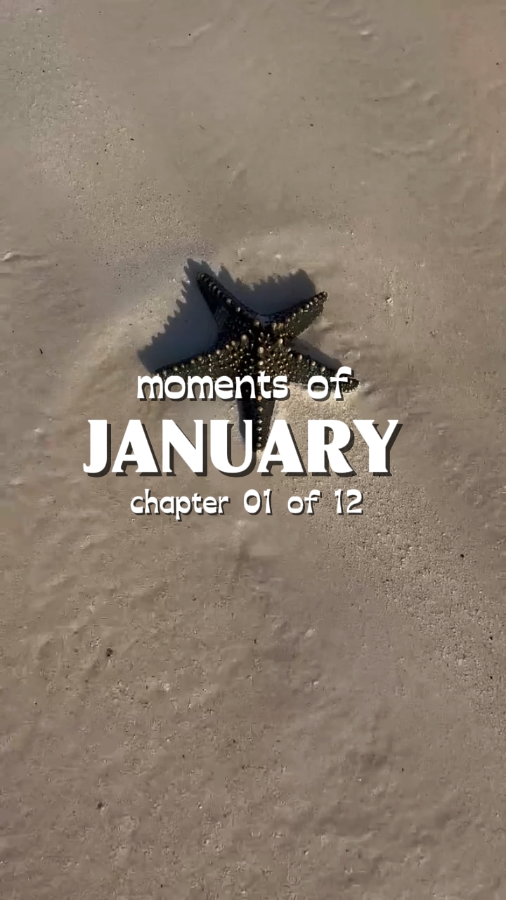 Chapter 01 of 12 