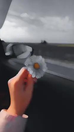 Smooth Slowmo