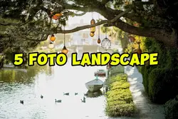 5 foto landscape 