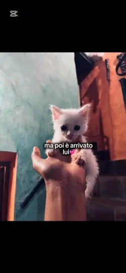 Sei arrivato tu!!!💞